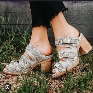 PRICE FIRM Never Worn Caitlyn Freebird by Steven Booties